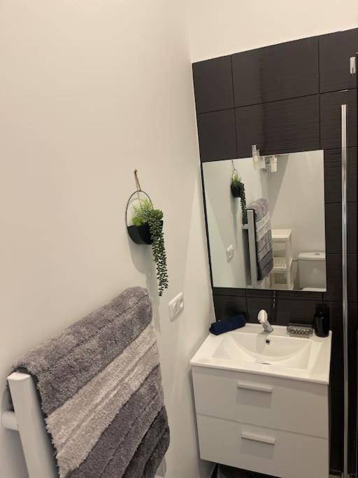 טולוז Joli Studio Maisonnette Avec Cachet מראה חיצוני תמונה